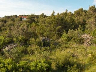Appartement A1 dans Supetar 8