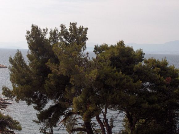 Appartement Apartman broj 12 dans Postira 11