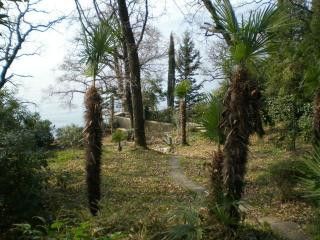 Appartement  dans Rijeka 16