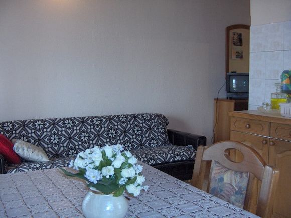 Appartement A1 dans Vela Luka - Stracincica 3