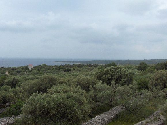Appartement A2 dans Vela Luka - Stracincica 9