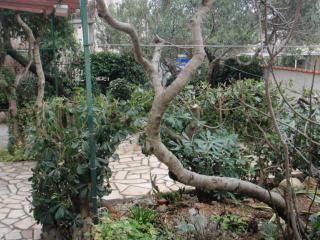 Appartement Apartman br. 2 dans Makarska 11