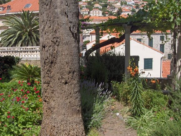 Appartement Gradac dans Dubrovnik 11