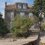 Appartement App dans Île Kolocep 1