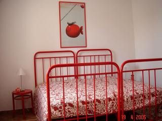 Appartement App dans Île Kolocep 5