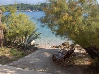 Appartement App dans Île Kolocep 10