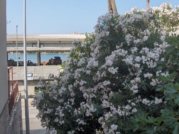 Appartement App Dada Dole dans Dubrovnik 8