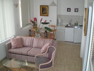 Appartement App. br. 2 dans Opatija 1