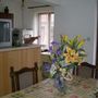 Appartement App dans Labin 1