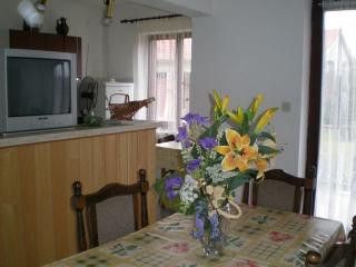 Appartement App dans Labin 1