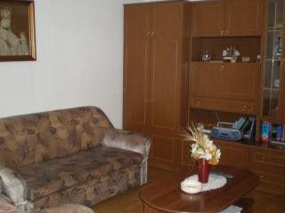 Appartement A1 veliki dans Nedescina 2