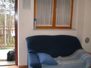 Appartement A2 Mali dans Nedescina 3