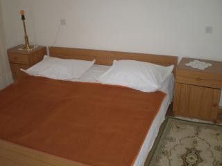 Appartement Mande dans Razanj 4