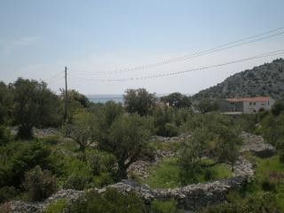 Appartement Mande dans Razanj 13