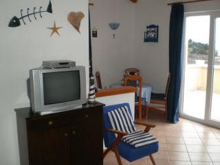 Appartement App. br. 1 dans Lovran 2