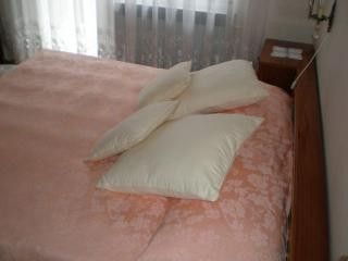 Appartement Soba 4 dans Lovran 5