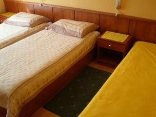 Appartement Soba 5 dans Lovran 1