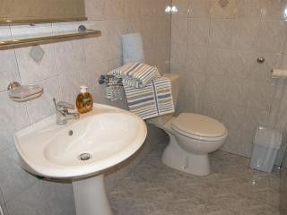 Appartement App br. 2 dans Duga Luka 6