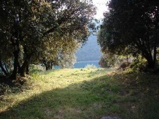 Appartement Villa Gabriela dans Duga Luka 8