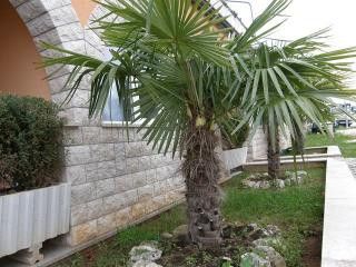 Appartement Br.2 dans Vrsar 8