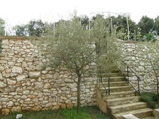 Appartement Br.7 dans Vrsar 9