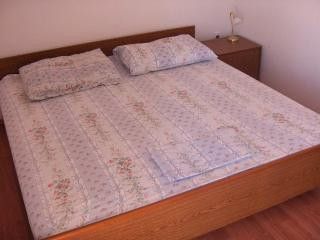 Appartement App.br.1 dans Kanica 4