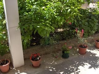 Appartement A4-prizemlje dans Hvar 9