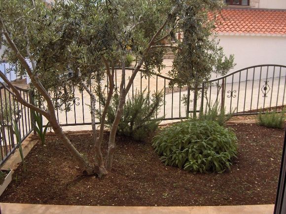Appartement App br. 2 dans Bol 10