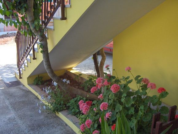 Appartement A1 dans Vrboska 12