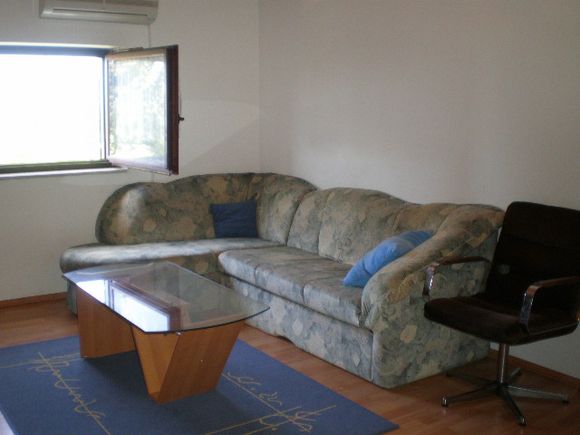 Appartement Veliki 2. kat dans Nova Vas 2