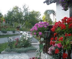 Appartement Studio dans Poljanak