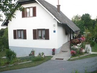 Appartement Studio dans Poljanak 1