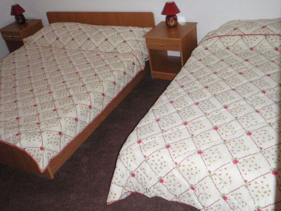 Appartement App - trokrevetni dans Smoljanac 4