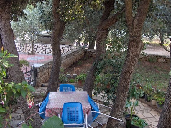 Appartement 2 dans Mandre 16