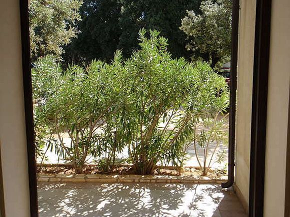 Appartement S1-B dans Simuni 8