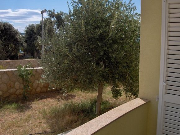 Appartement App br. 6 dans Mandre 10