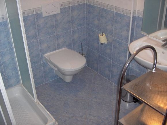 Appartement App br. 5 dans Mandre 8
