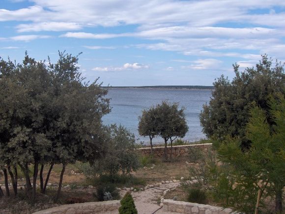 Appartement App br. 3 dans Mandre 10