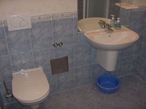 Appartement App br. 2 dans Mandre 8