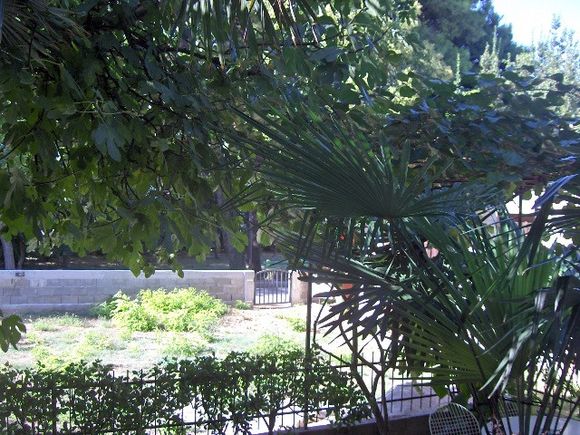 Appartement Apartman 6 prizemlje (5+1) dans Sukosan 10