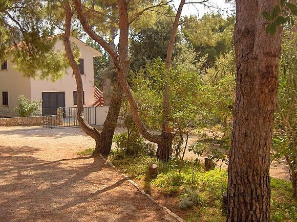 Appartement App br. 3 dans Novalja 19