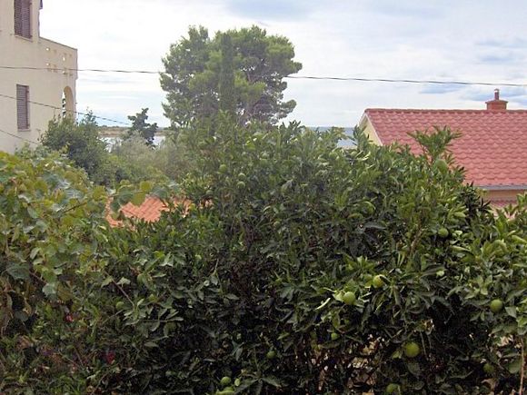 Appartement Prizemlje 1. desno dans Novalja 9