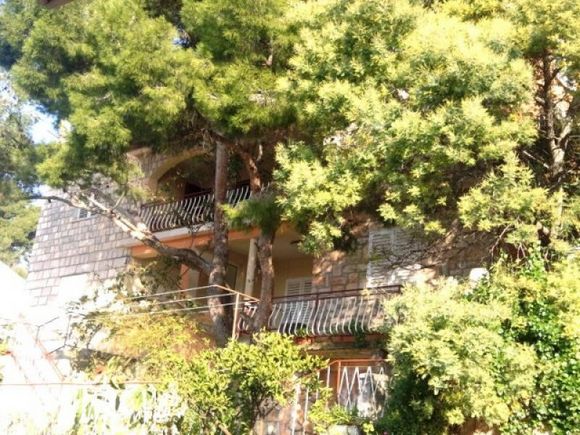Appartement London dans Zavalatica 6
