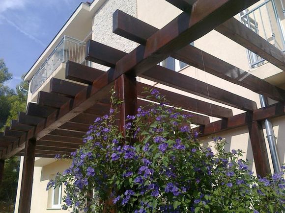 Appartement  dans Basina 1