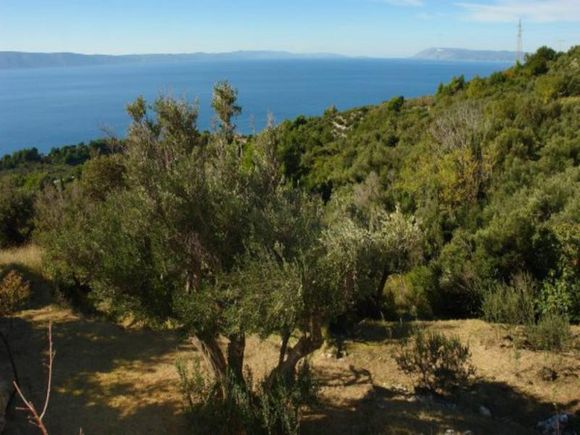 Appartement App 5 dans Podgora 18