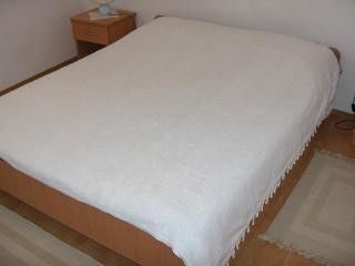 Appartement A1 dans Hvar 6