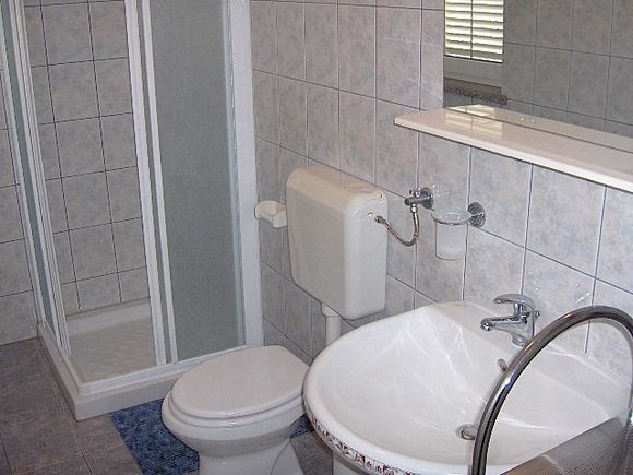 Appartement App br. 3 dans Mandre 7