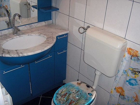 Appartement App br. 5 dans Mandre 8